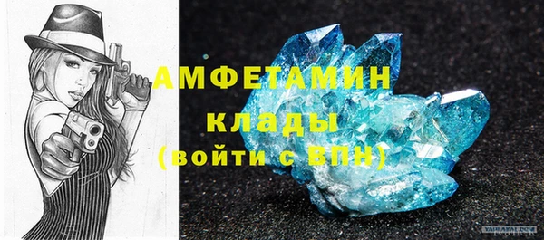 индика Беломорск