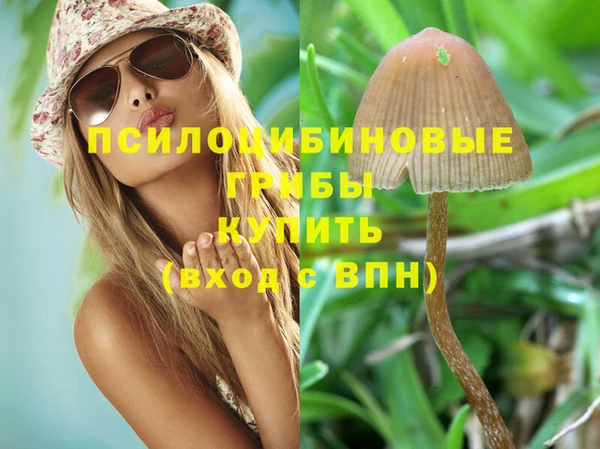 индика Беломорск