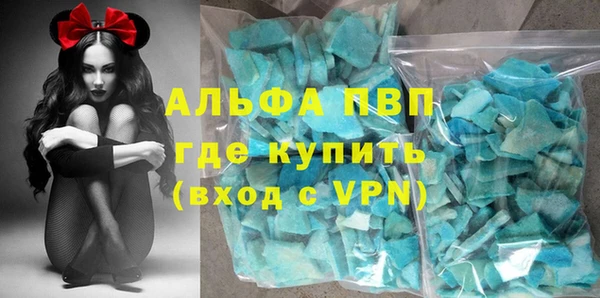 индика Беломорск