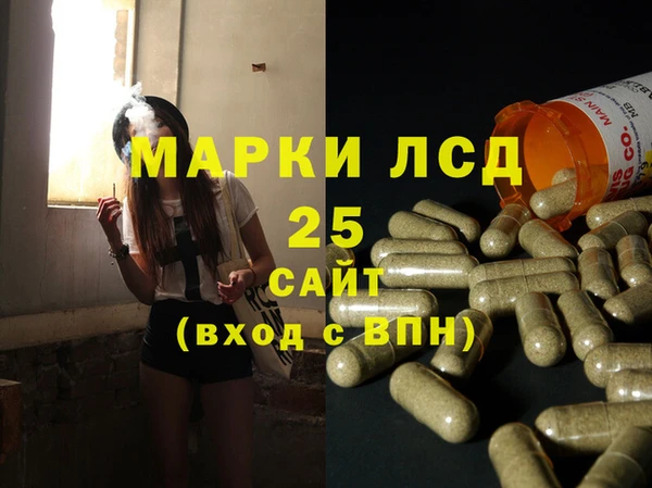 индика Беломорск
