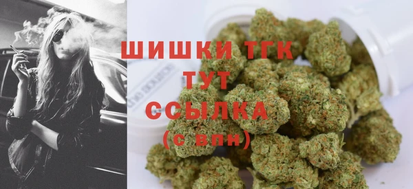 индика Беломорск